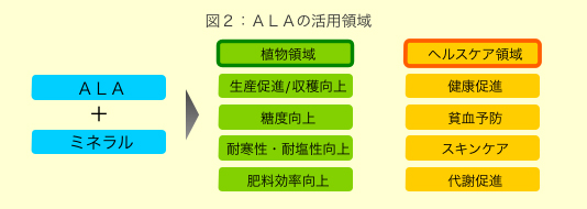 図2：ALAの活用領域