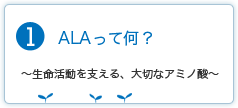 ALAって何？