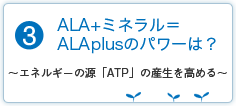 ALA+ミネラル＝ALAplusのパワーは？