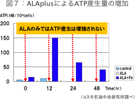 図7：アラプラスによるATP産生量の増加
