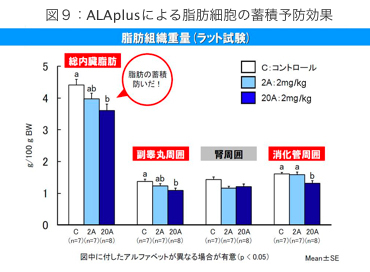 図9：アラプラスによる脂肪細胞の蓄積予防効果