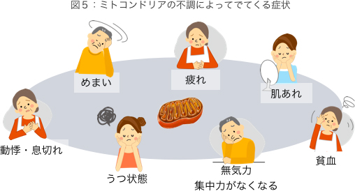 図5：ミトコンドリアの不調によって出て来る症状